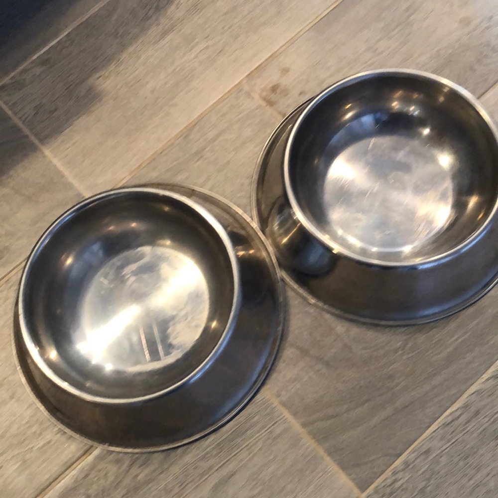 Set of stainless steel dog bowls (Amazon basic brand)